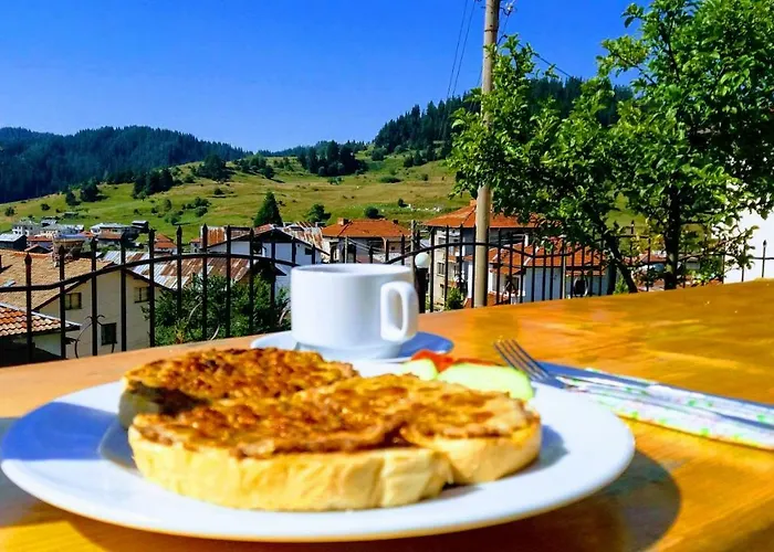 мелиса Guest house